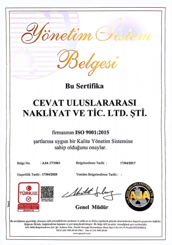 ISO 9001 турецкий